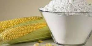 Maize Starch