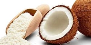 Desiccated Coconut Powder