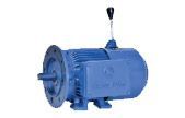 Brake Motors
