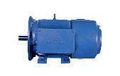 Crane And Hoist Duty Motors