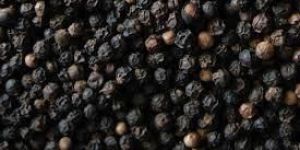 Black Pepper