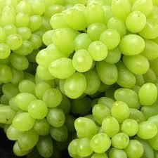 Fresh Grapes