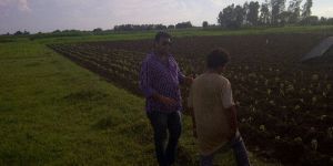 Contract Farming Service