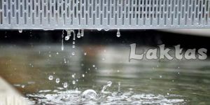 Perforated Sheet