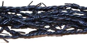 Barb Wire Leather Cords