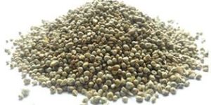 Green Millet