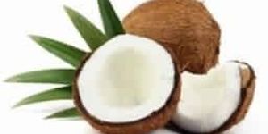 Coconut Carrier Oil
