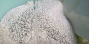 Maize Starch