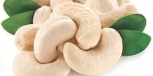 Cashew Kernels