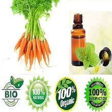 Carrot Seed Oil