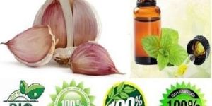 Garlic Oil