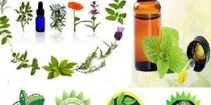 Lemongrass Oil