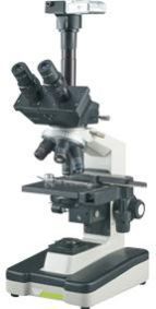 Trinocular Microscope