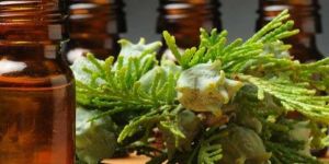 Cypress Oil