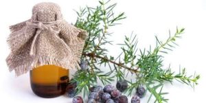 Juniper Berry Oil