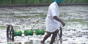 Quick Paddy Seeding Machine