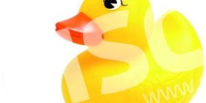 SWIMMING FLOATING SQUEAKY TOYS