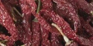 Byadgi Dry Red Chilli