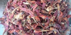 Fatki Dry Red Chilli