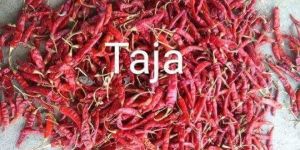 Teja Dry Red Chilli