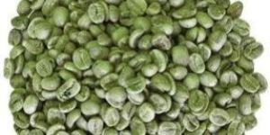 Green Coffee Beans