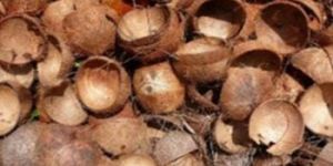 Shell Charcoal Processing Machines