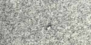 Sierra White Granite