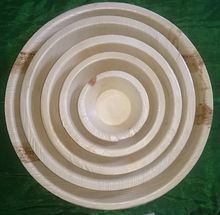 Areca Leaf Plate