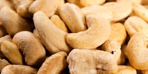 Cashew Nut