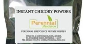 GMP Instant Chicory Powder