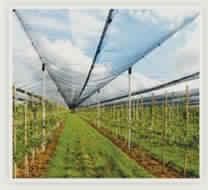 Shade Nets