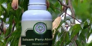 Benzoin Absolute