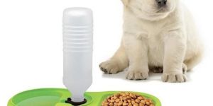 AUTOMATIC WATER REFILLING SYSTEM PET FEEDER - K127