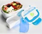 ELECTRIC LUNCH BOX FOOD HEATER