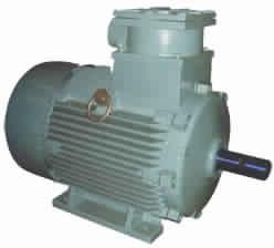 Flame Proof Motors