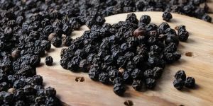 Black Pepper