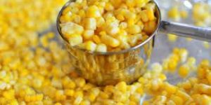 High Quality Sweet Corn