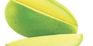 Raw Mango
