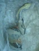 Smoking inside Bongs