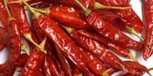 334 TEJA Red Chilli