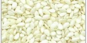 Sesame Seeds