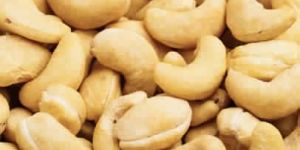 Cashew Processing Plant