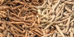 Cassava Processing Plant