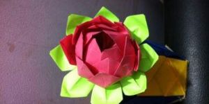 Origami Paper Flowers