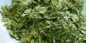 Moringa Dried Leaves