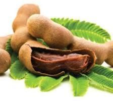 Fresh Tamarind
