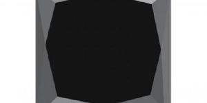 1.00 CT OF 4.80-5.50 MM AAA PRINCESS NATURAL DIAMOND ( 1 PC ) LOOSE FANCY BLACK DIAMOND