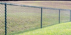Chain Link Fence