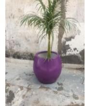 Fiberglass Planter