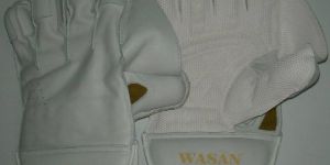 Wicket Keeping Gloves